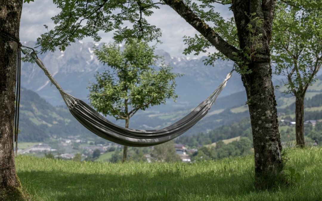 Entspannte Auszeit und Naturwunder Liechtensteinklamm: Sommergenuss am ZEDERBERG mindful apartments