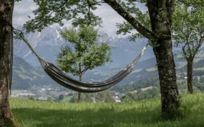 Entspannte Auszeit und Naturwunder Liechtensteinklamm: Sommergenuss am ZEDERBERG mindful apartments