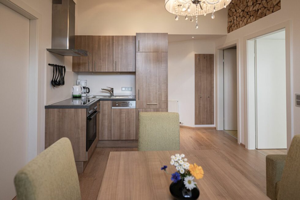 Küche Apartment Smart