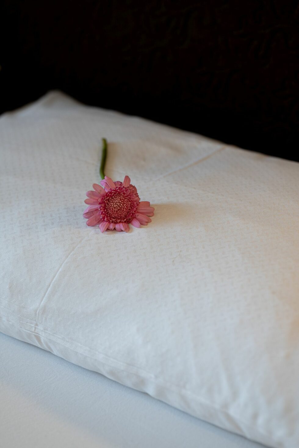 Flower Apartment Studio